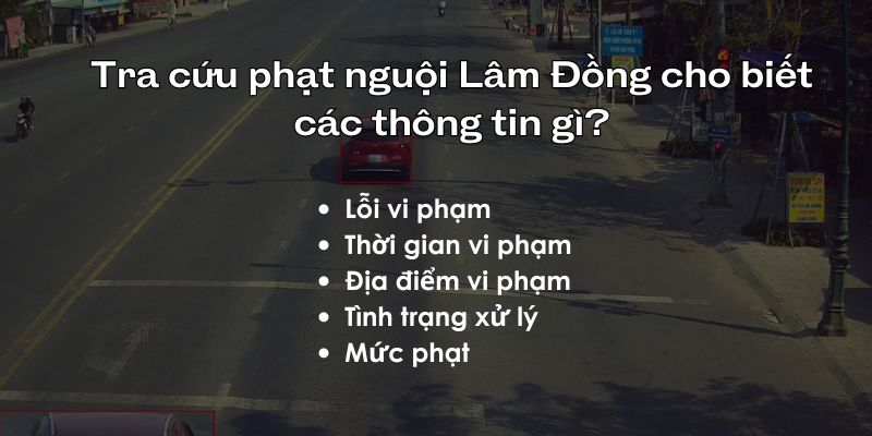 thông tin có được khi kiểm tra phạt nguội tại lâm đồng