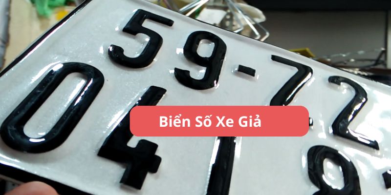 Chi tiết biển số xe giả