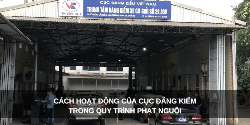 Hoạt độn của cục đăng kiểm 