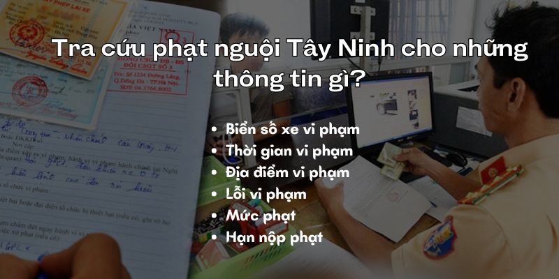 Các thông tin khi tra cứu phạt nguội Tây Ninh