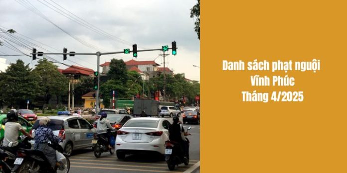 Xem danh sách phạt nguội Vĩnh phúc t4/2025
